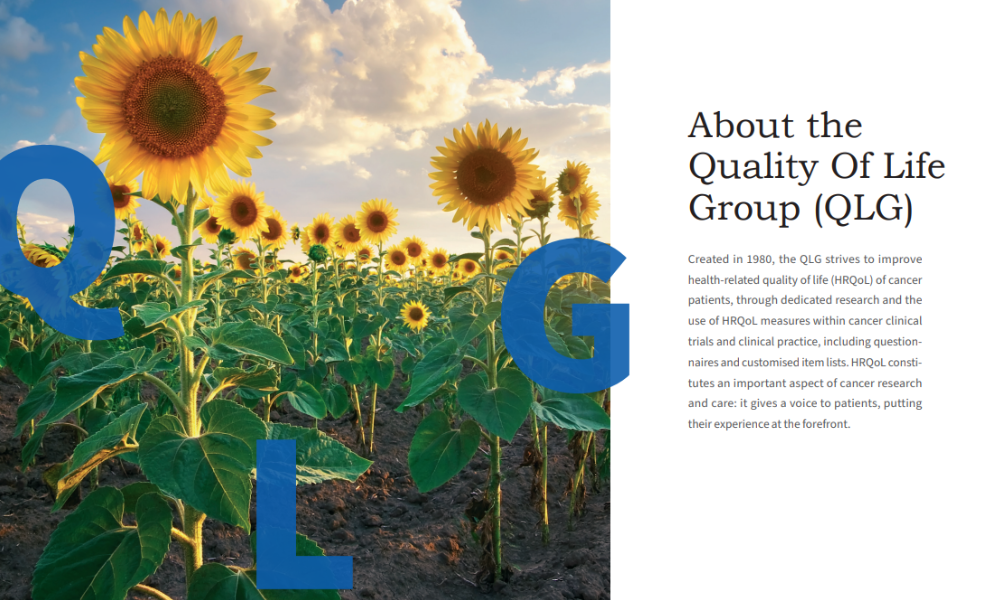 QLG Brochure Preview